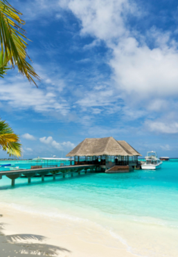 Projekt bez nazwy 2025 07 15T190318.633